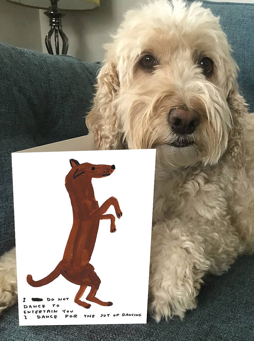David Shrigley Greetings Card - Dancing Dog