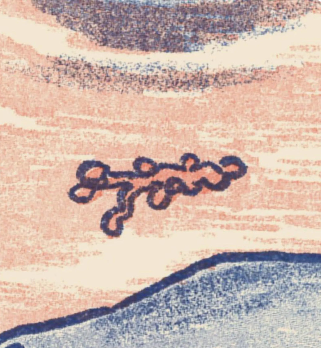 Seals Risograph Print