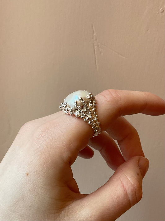 Coral Reef ring #3