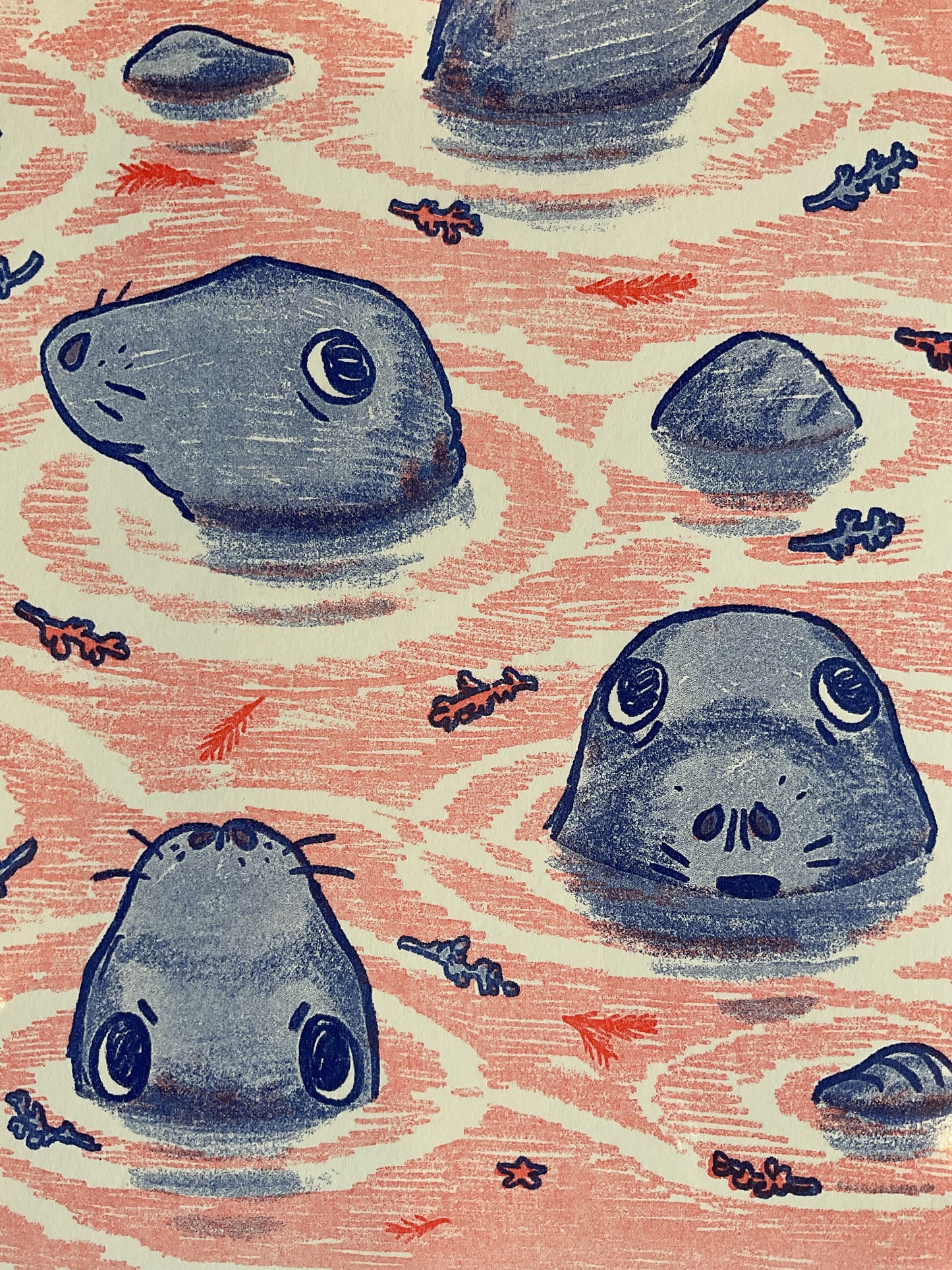 Seals Risograph Print