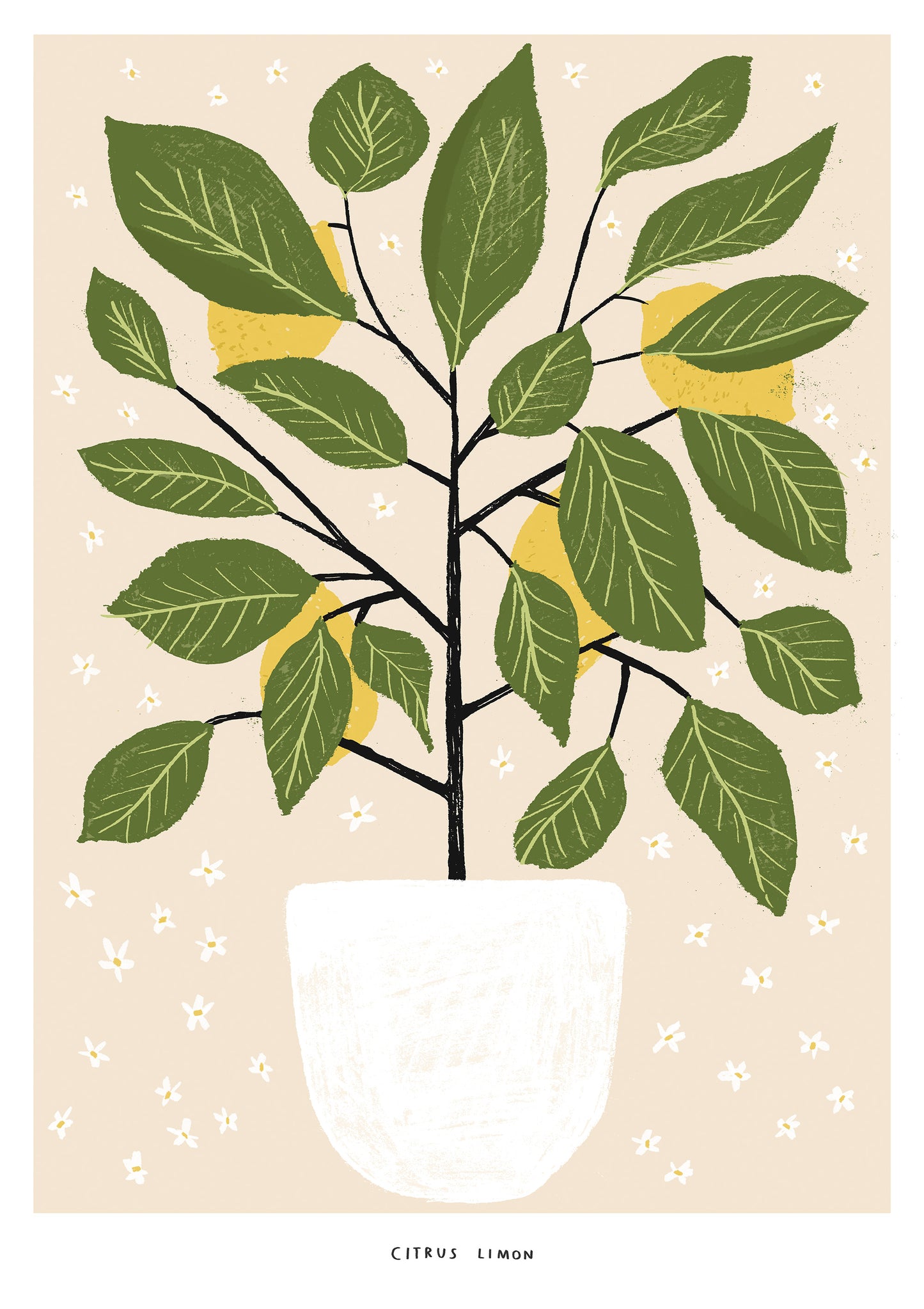 Lemon Tree giclee print - Alex Foster