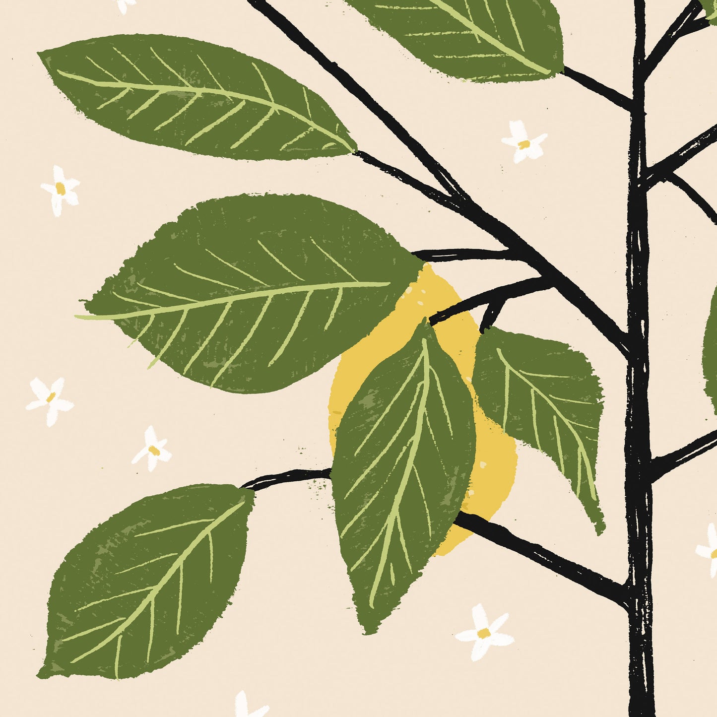 Lemon Tree giclee print - Alex Foster