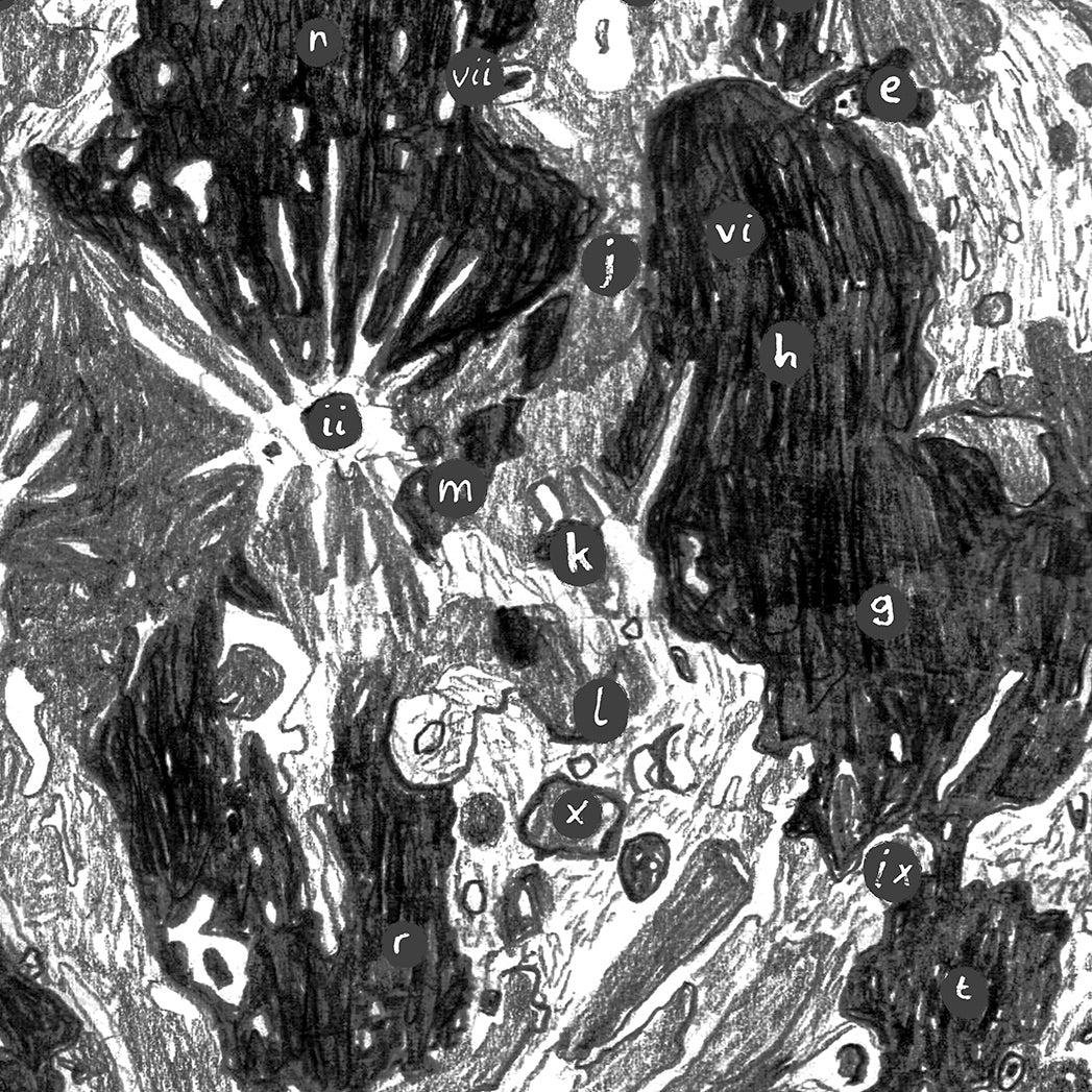 Moon Map giclee print - Alex Foster