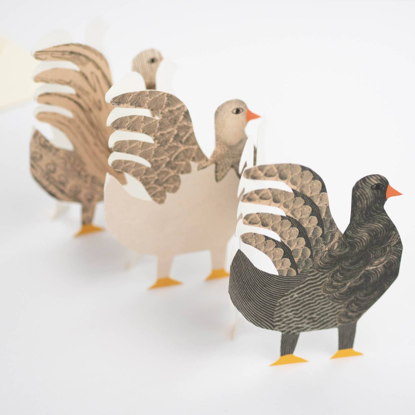 Chickens Concertina Card