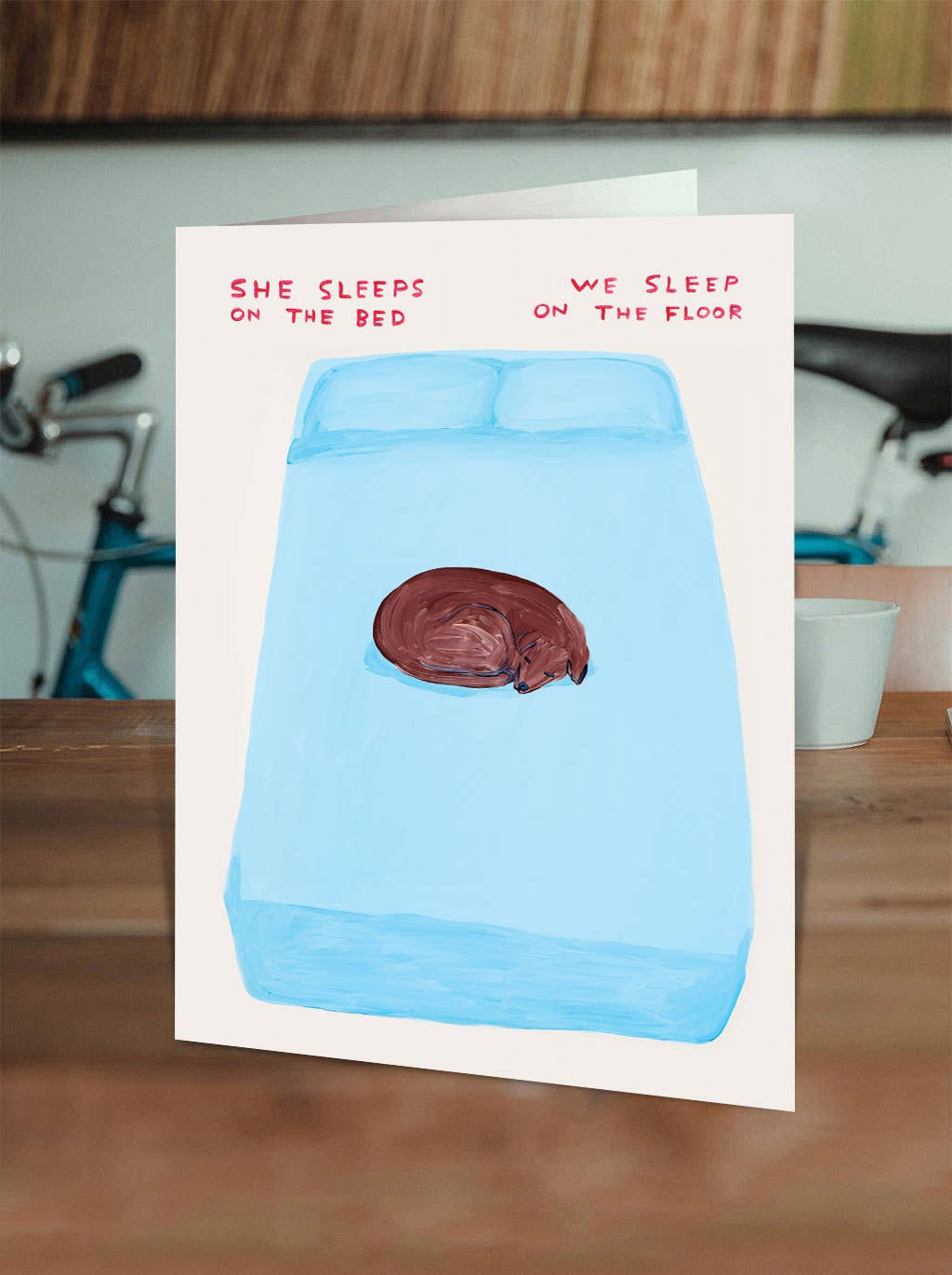 David Shrigley - Sleep On The Bed Greetings Card