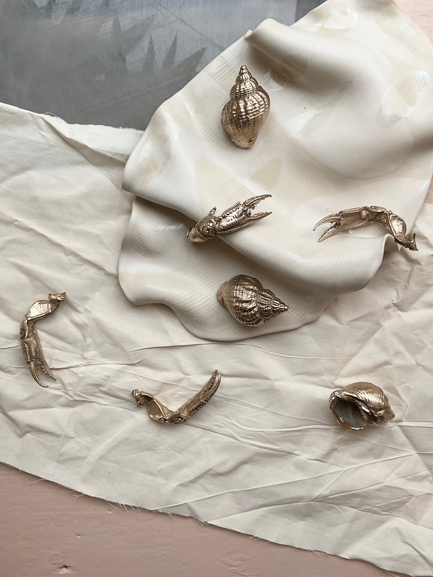 Bronze Whelk Shell