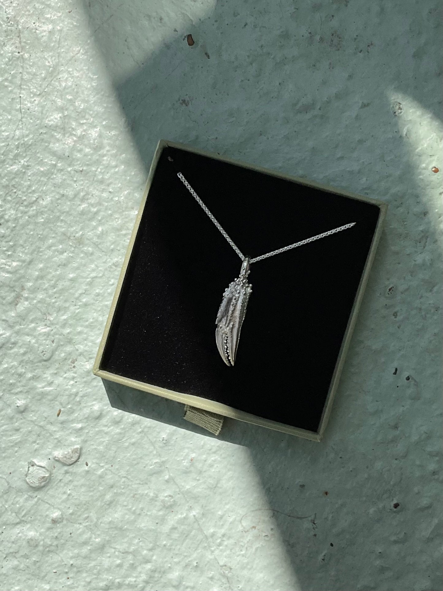 Gnarly Crab Claw Pendant