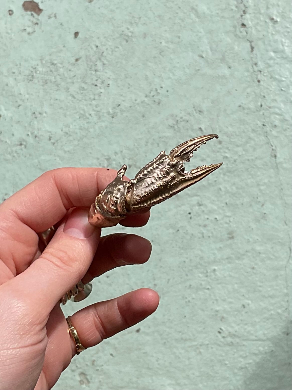 Bronze Crab Claw
