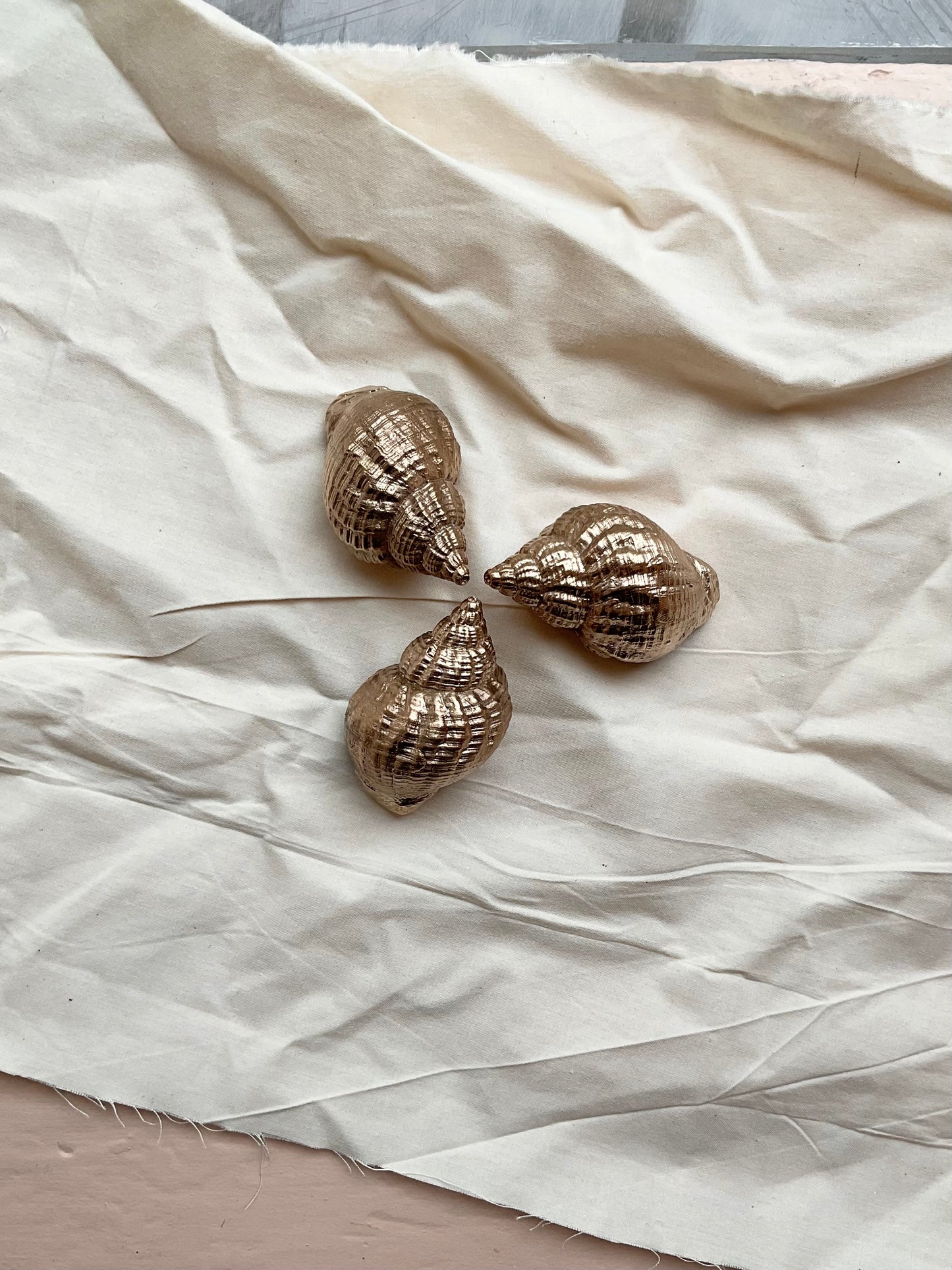 Bronze Whelk Shell