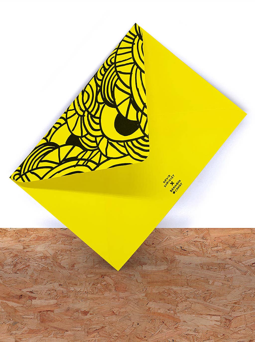 David Shrigley Greetings Card - Cat Master