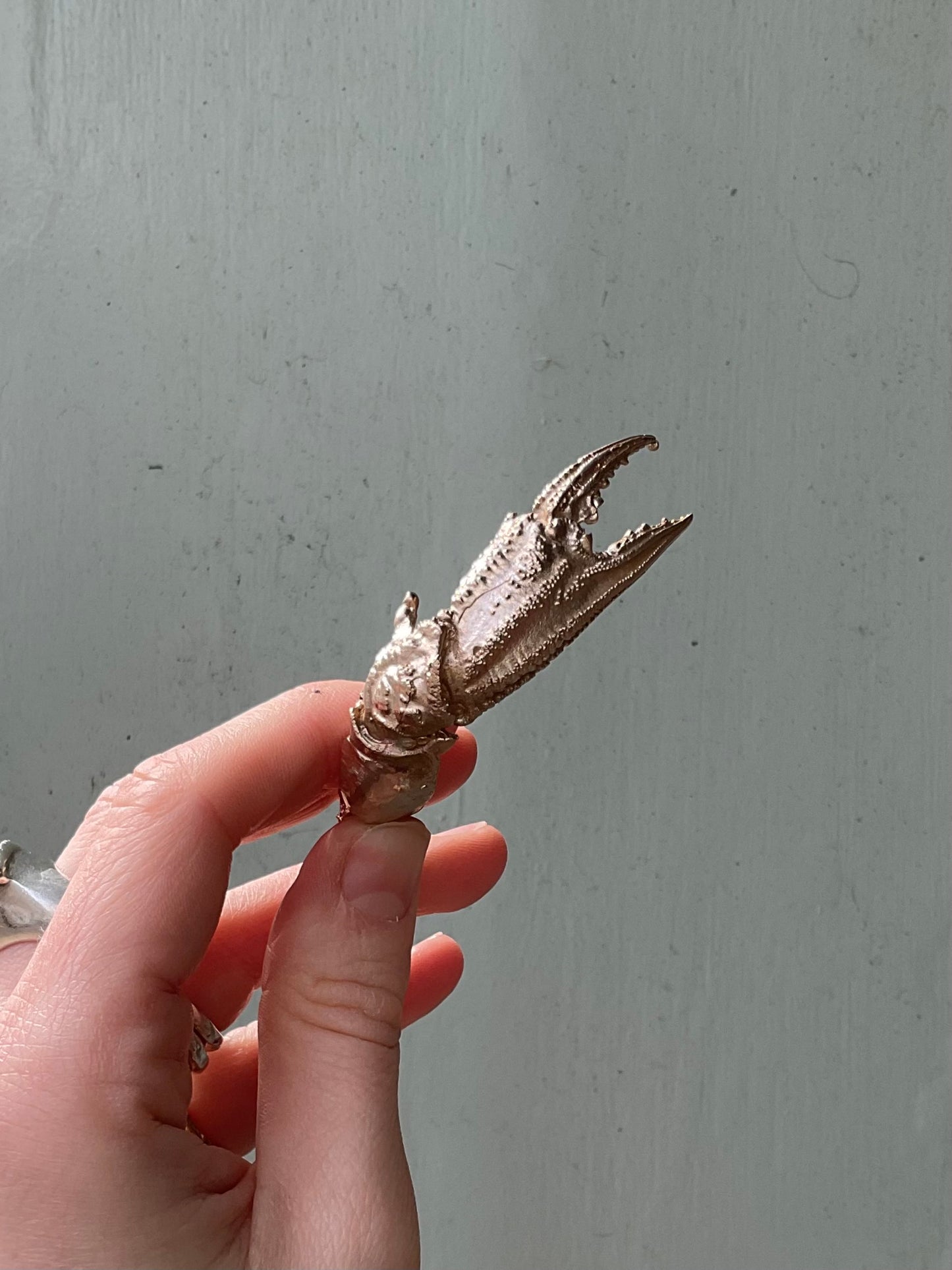 Bronze Crab Claw