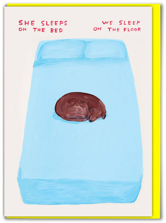 David Shrigley - Sleep On The Bed Greetings Card