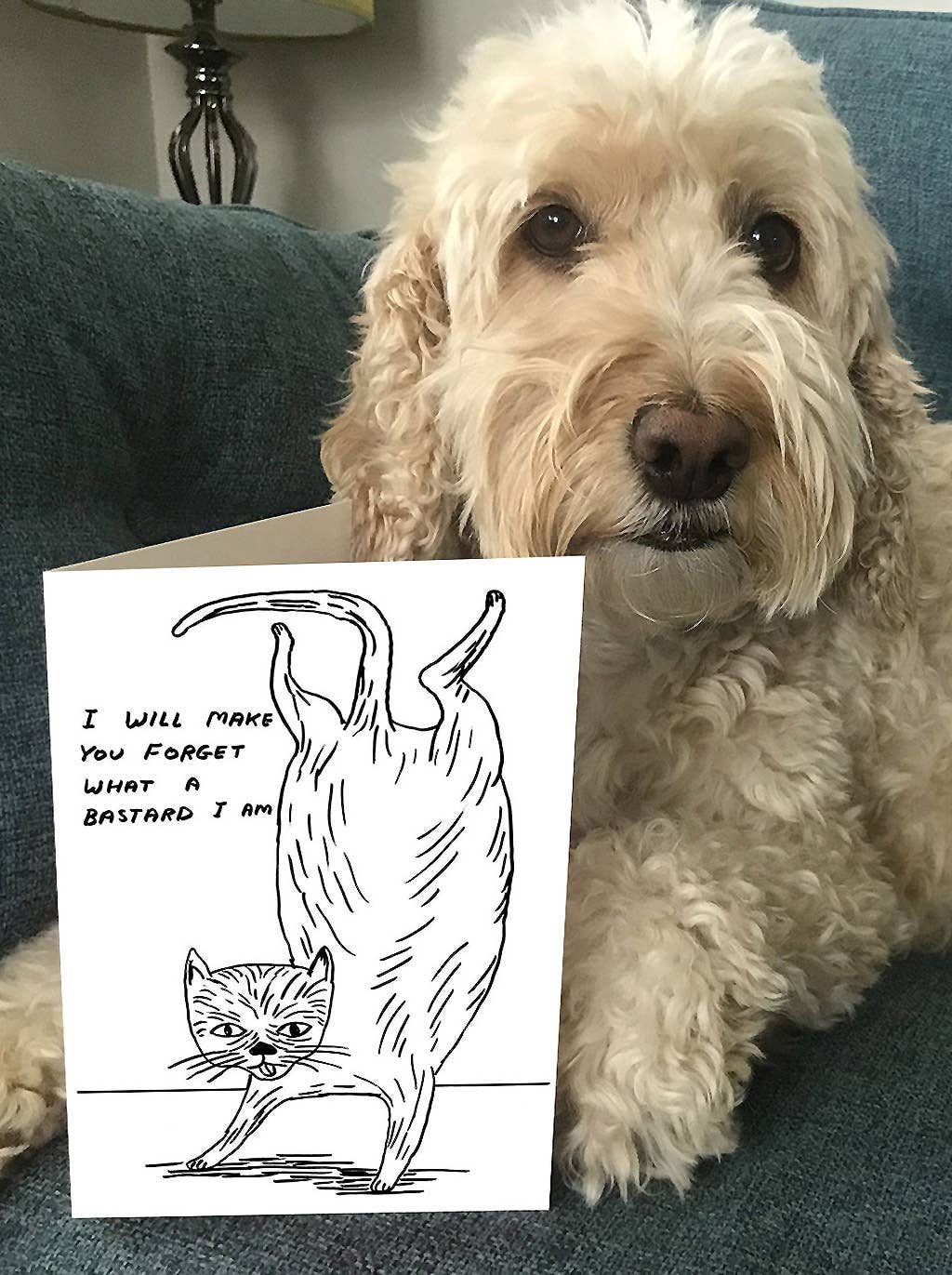 Greetings Card By David Shrigley - Bastard Cat