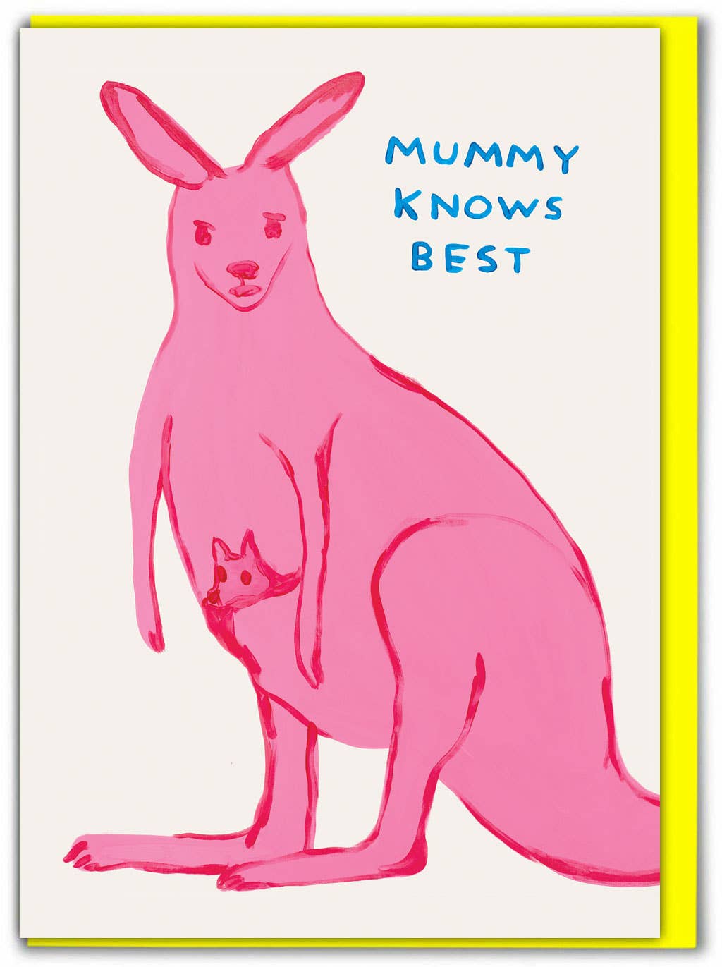 Mummy Know's Best Greetings Card by David Shrigley