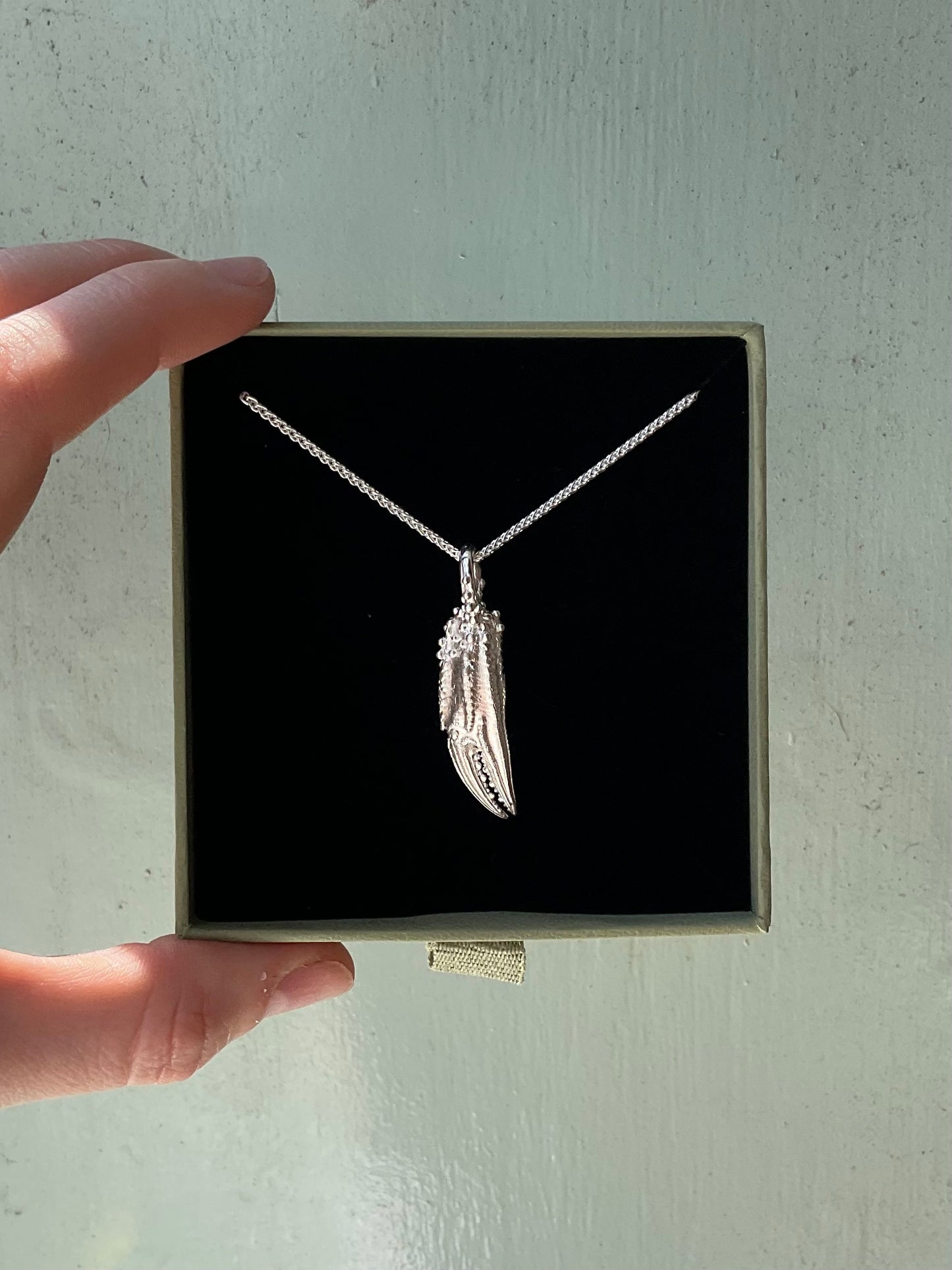 Gnarly Crab Claw Pendant