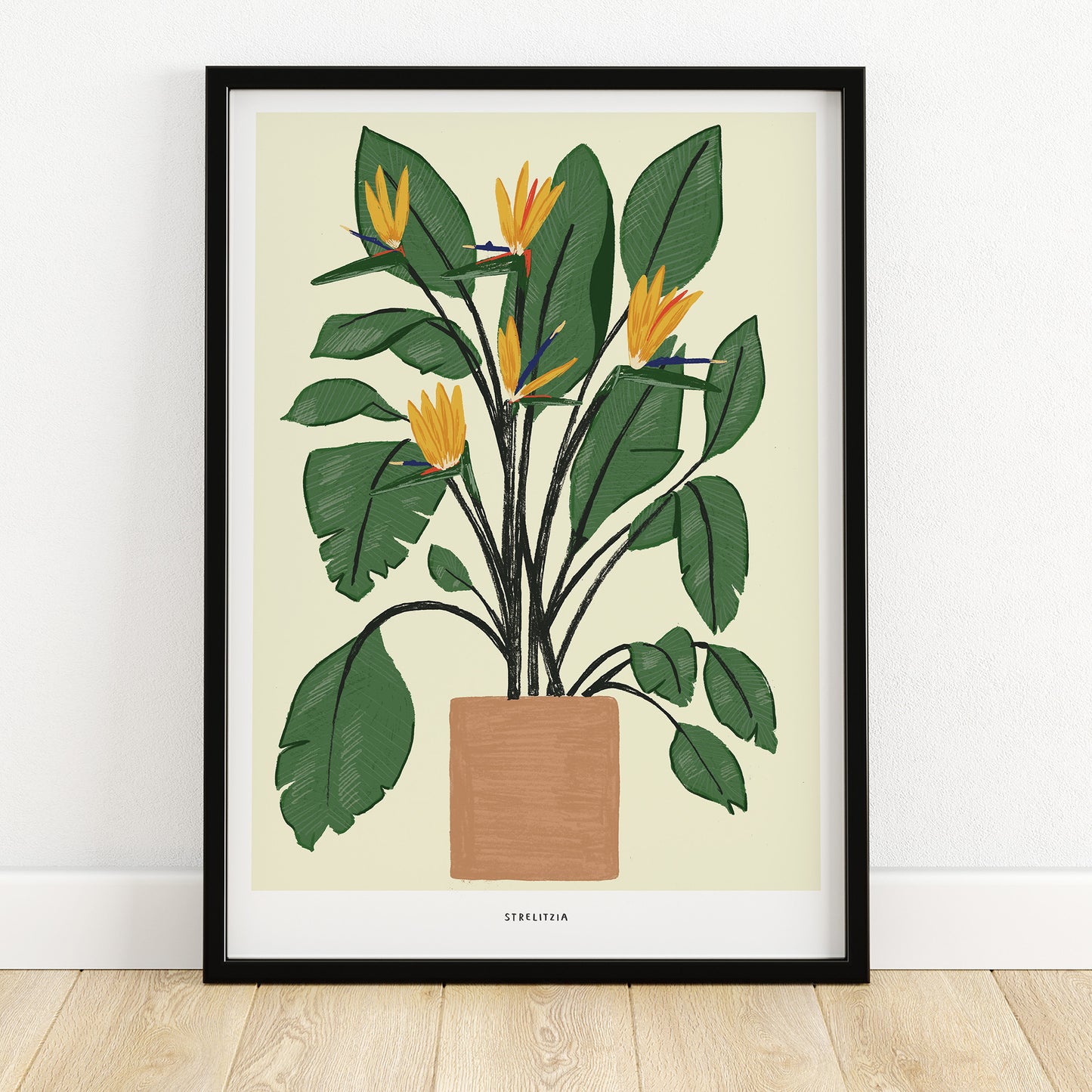 Bird of Paradise Plant giclee print - Alex Foster