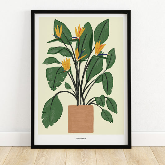 Bird of Paradise Plant giclee print - Alex Foster
