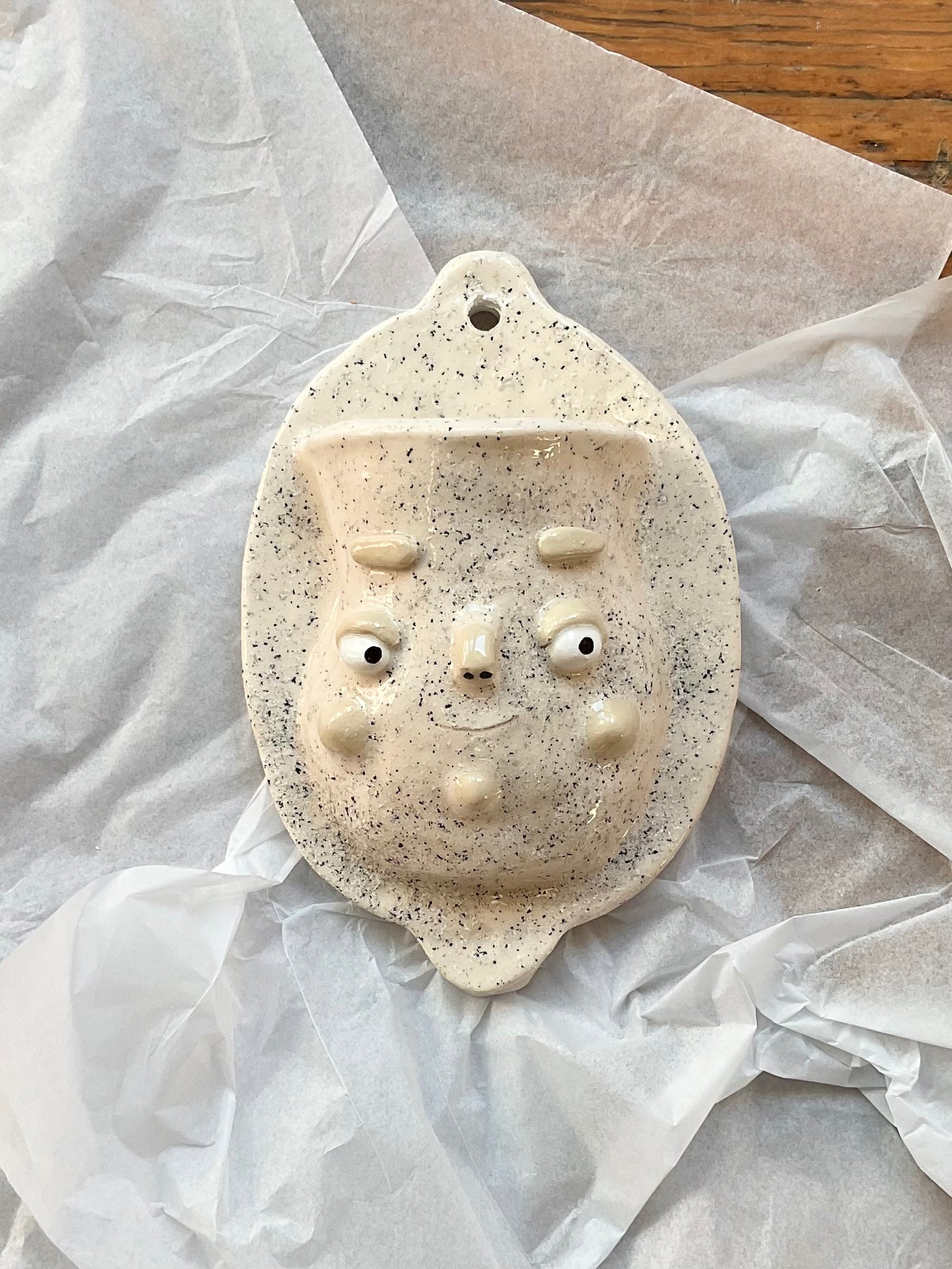 Ponky Wots Wall Vase, Speckled