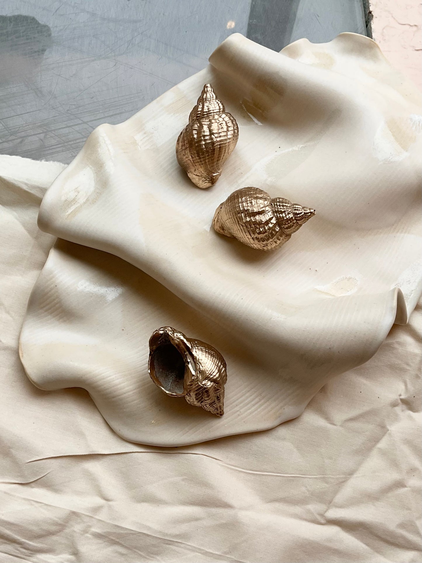 Bronze Whelk Shell