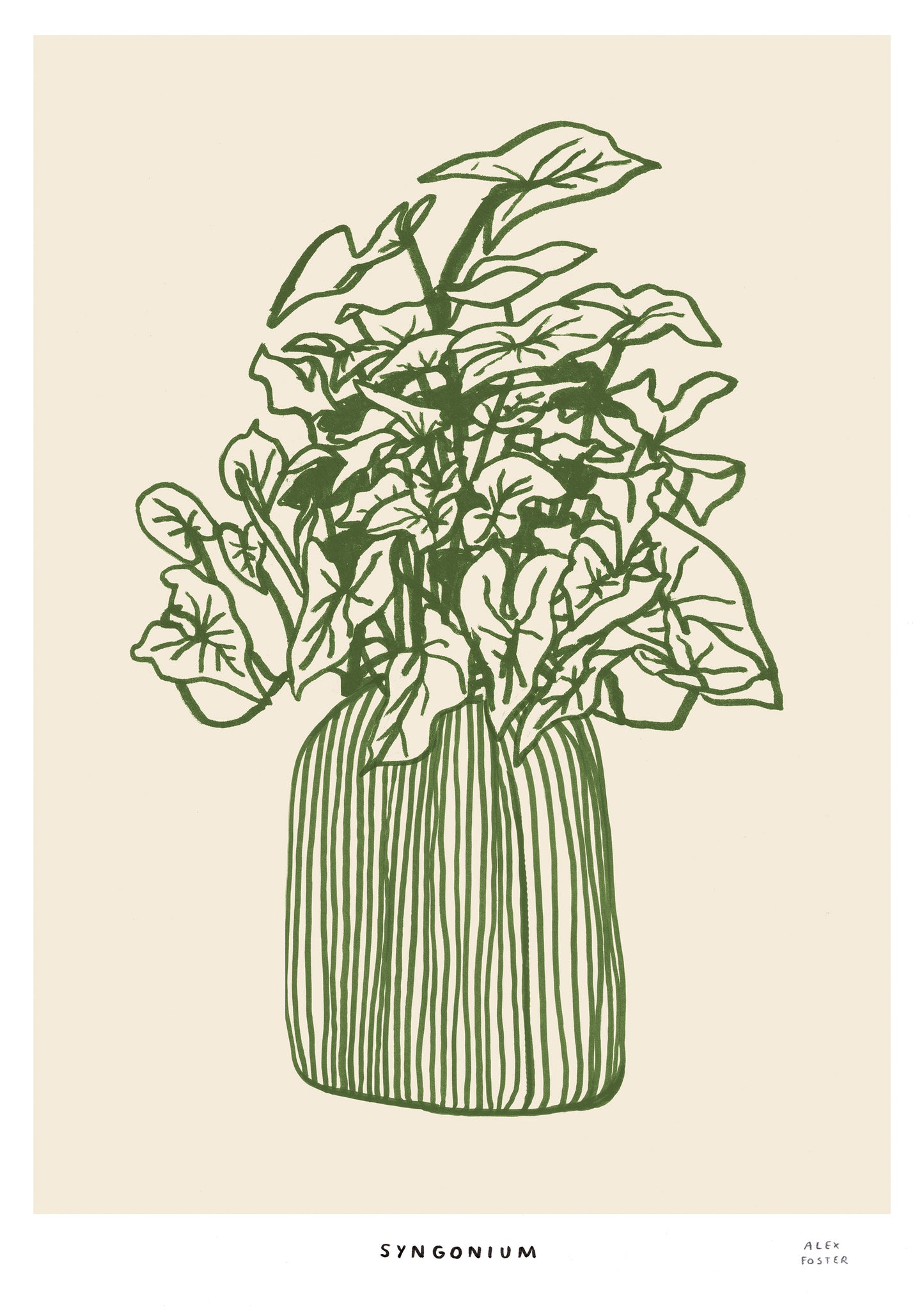 Syngonium giclee print - Alex Foster