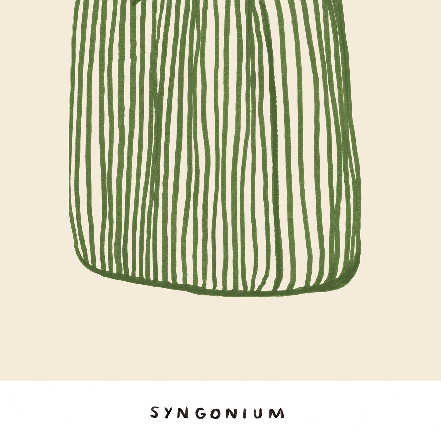 Syngonium giclee print - Alex Foster