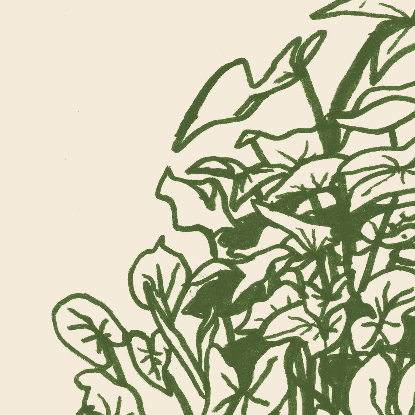 Syngonium giclee print - Alex Foster