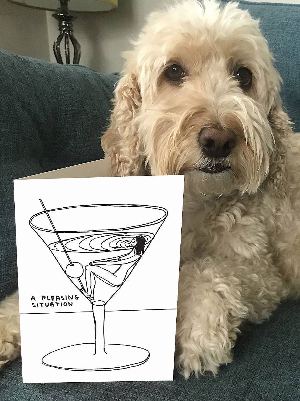 Greetings Card By David Shrigley - Pleasing Situation